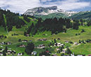 Beim Bergdoktor in den Tiroler Bergen